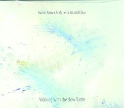 Walking with the slow turtle